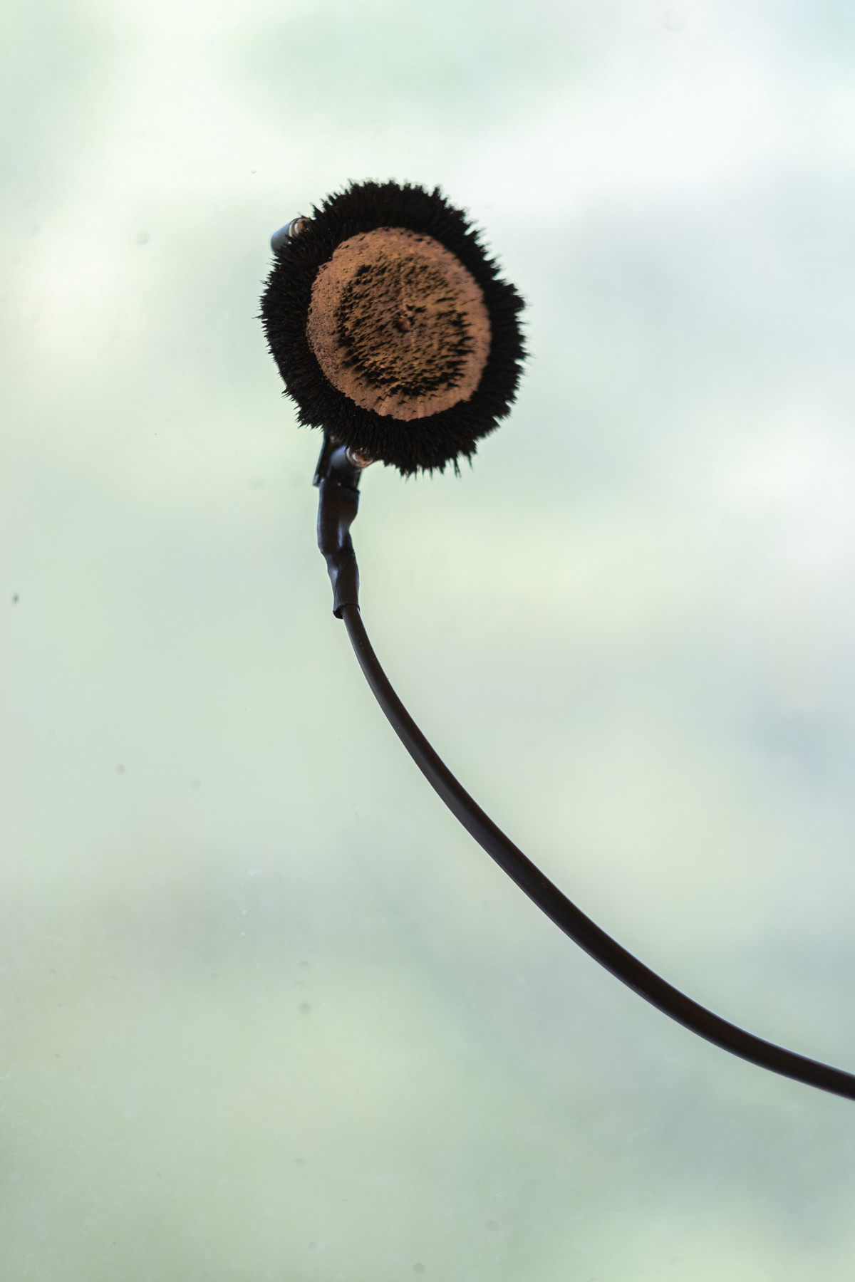 Details from Siri Austeens sound installation To gather a mountain. Field recordings from Titania. Photo by Tiny Productions for Coast Contemporary.