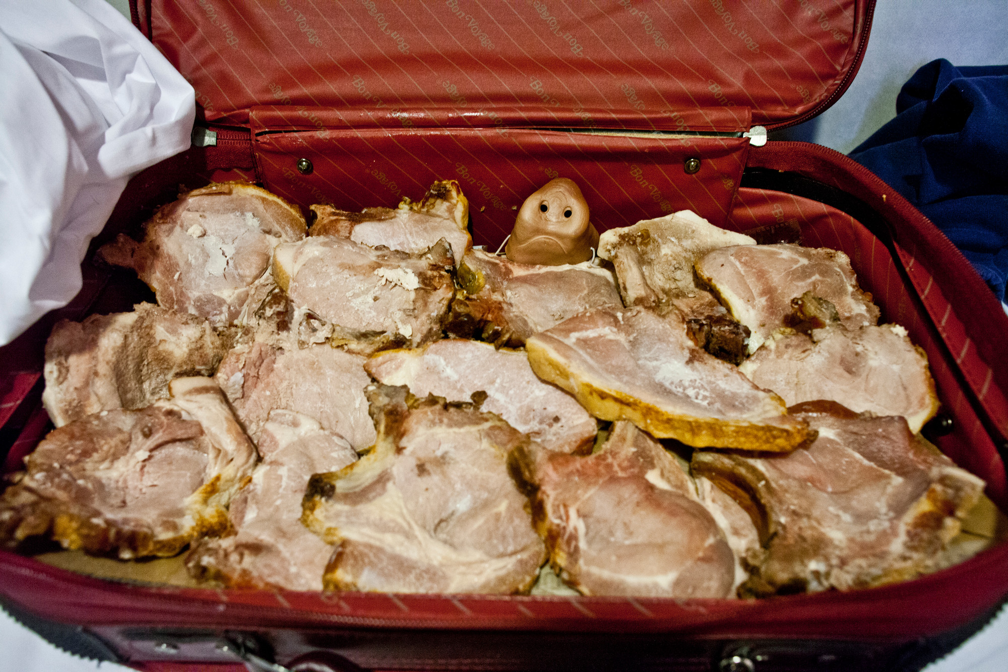 Detail of Hanna Fauskes installation "Erik Elk" aboard the ship Hurtigruten. About the fictional character Erik, escaping reality and his vegan mother aboard a ship to eat meat. Part of the Cabin Series 2017. Curated by RAKE visningsrom. Photo by Laimonas Puisys.