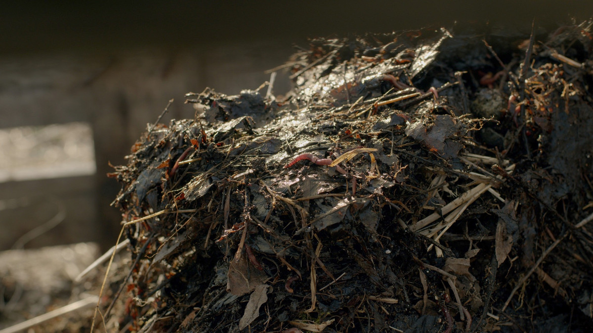 Still from the film More Bacteria Than I, by Unni Gjertsen.