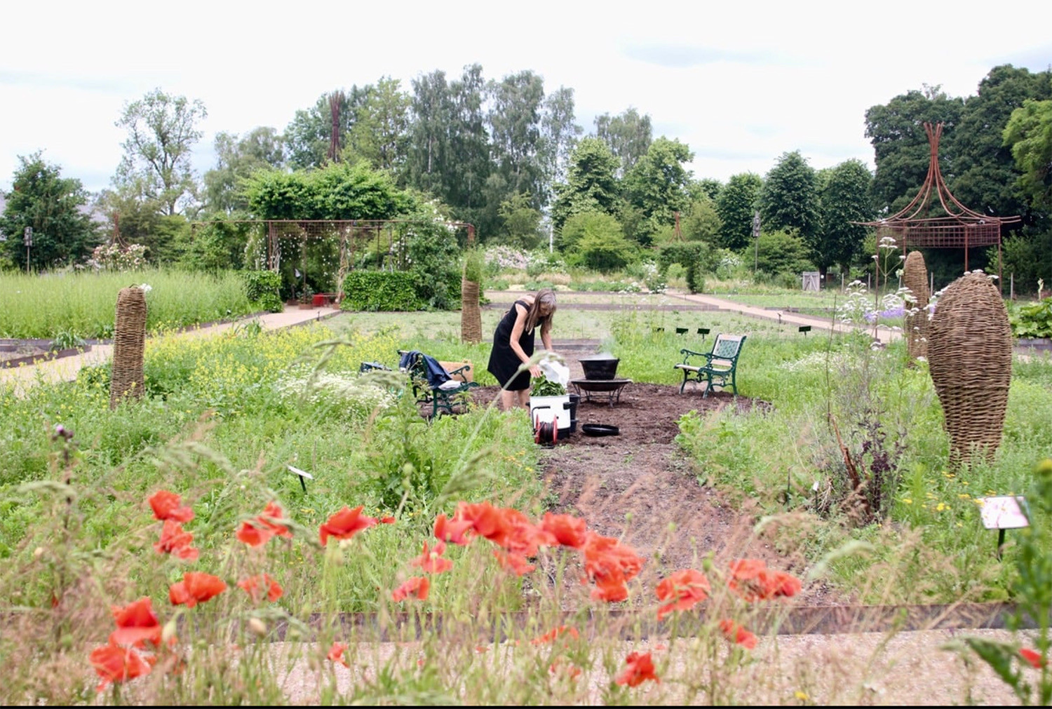 Art Hall Rønnebæksholm 2021, Denmark: Exhibition: Soil.Sickness. Society. I joined The Medical Garden for Radical Caring.