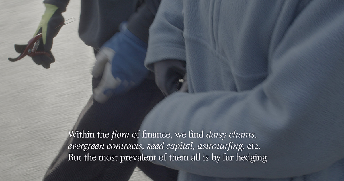 The Flora: ‘Hedging’ (11:30 minutes, 4K, 2024) 
Eline Benjaminsen & Dayna Casey